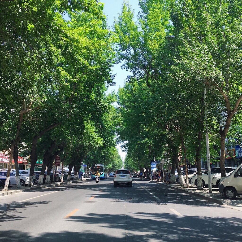 天池路
