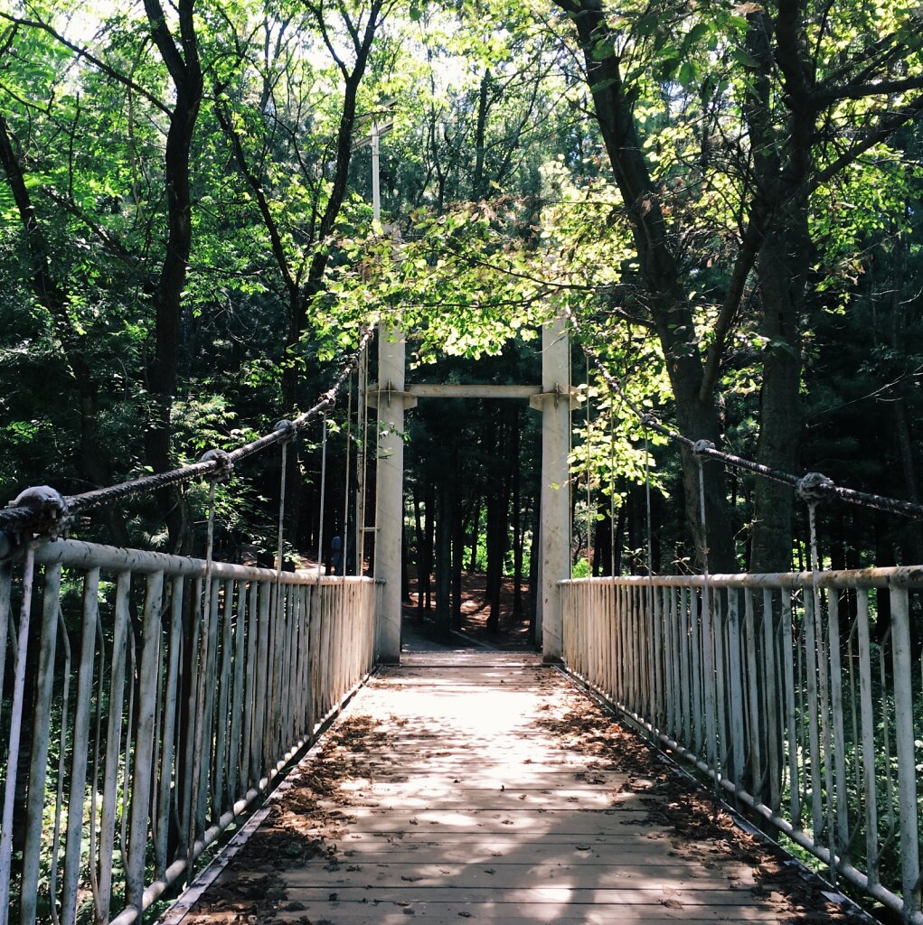 모아산