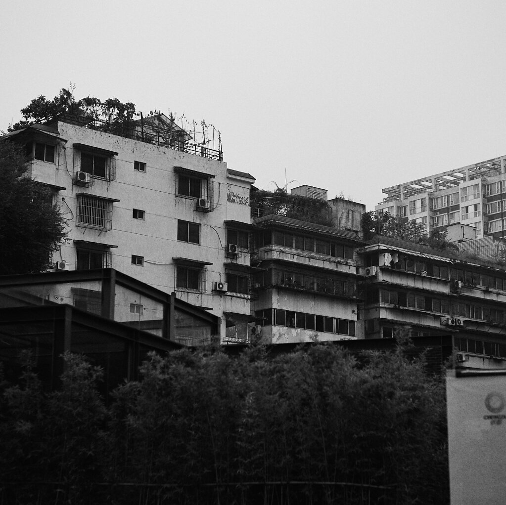 IMG-6127.JPG